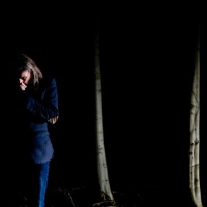 The Light It Draws Me In