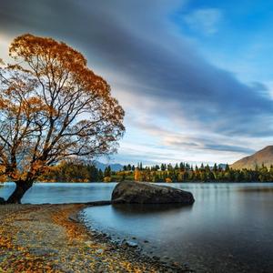 没有你我怎么快乐生活