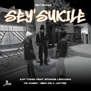 Seysukile (feat. Stance Lenyora, TS Wabo, Sbo 06, Stikkx & Jaytee)
