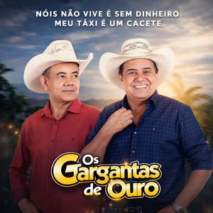 Nóis Não Vive é Sem Dinheiro / Meu Táxi é Um Cacete