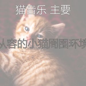 抚慰的睡猫回忆