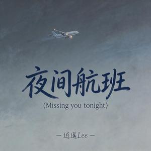 夜间航班（Missing you tonight）