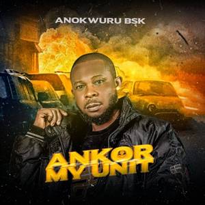 Ankor My Unit