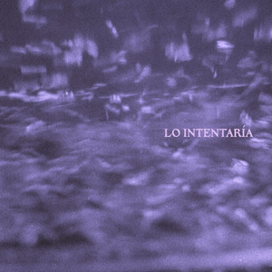 Lo Intentaría