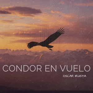 Condor fliying