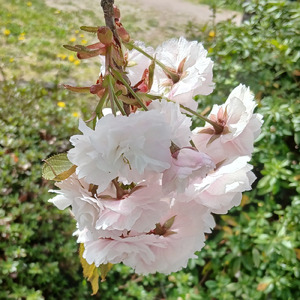 このクソ素晴らしいろくでもない世界で