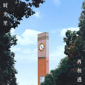 时光里再相遇
