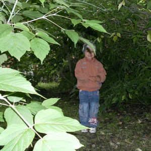 шмотки архив