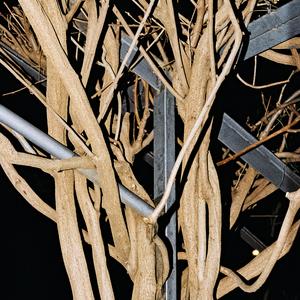 Dins es vent (feat. Aina Tramullas)