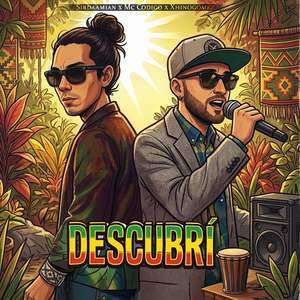 Descubri