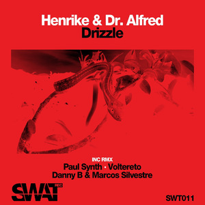 Drizzle (Paul Synth Remix)