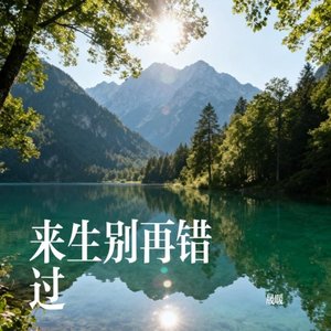 来生别再错过