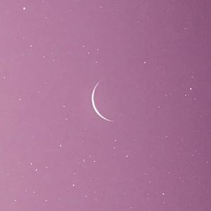 你有没有见过他