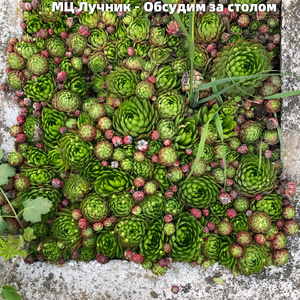 Обсудим за столом