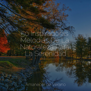 Armonía del Sueño Salvaje del Desierto