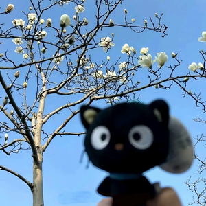 想