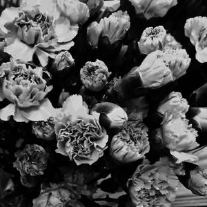 Raindrops (feat. Markeeezy)