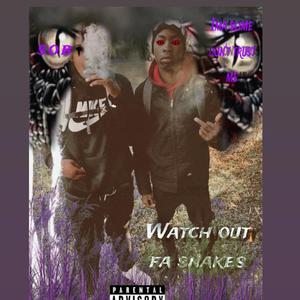 Watch out for snakes (feat. Relly7k)