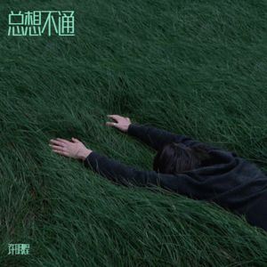 总想不通