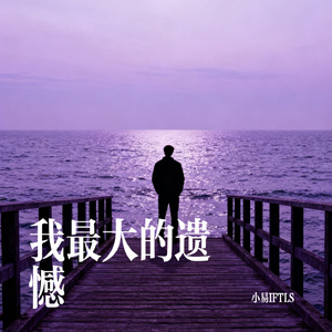 我最大的遗憾