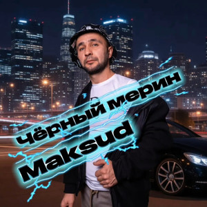 Чёрный мерин