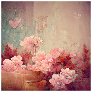 this is where I belong