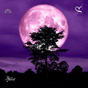 Meia Noite (feat. Jazzy Rhodes & Din Beats)