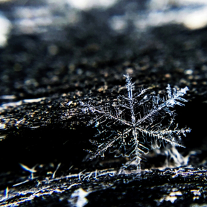 On My Way Now (Xmas Version)