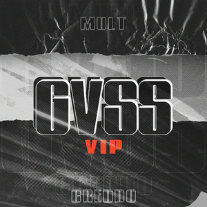 Gvss (Vip)