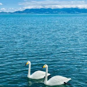 约定（温柔版）