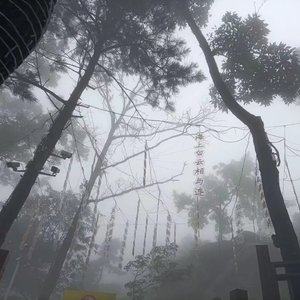 Amnesia-Amnesia（什么政 remix）