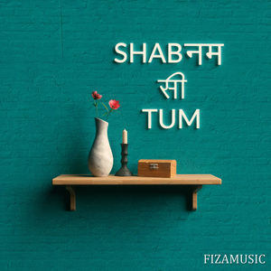 Shabnam Si Tum