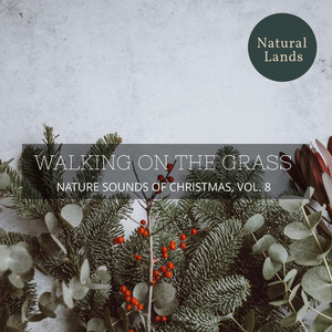 Mid Day Lake and Rabbits