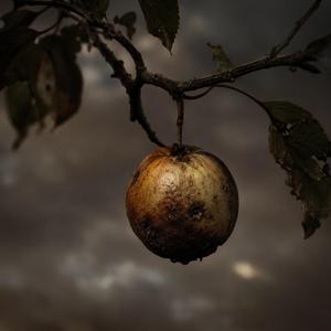 Fruta extrana