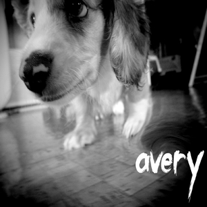 avery