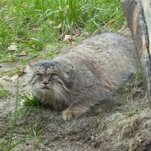 ポリーに捧ぐ～