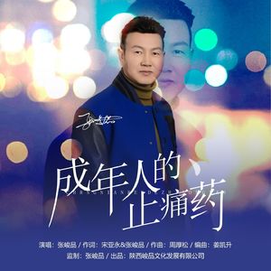 成年人的止痛药