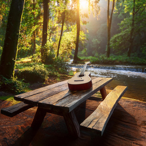Comodidad Melódica En El Sonido