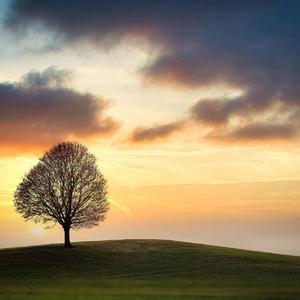 bye（prod.10keys）