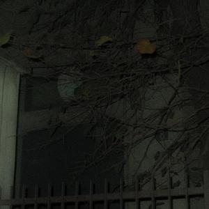 CANTERIA DESTINATA A DIEGO