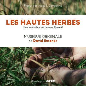 Les hautes herbes - Générique