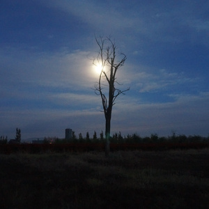 有些东西的美丽，并不需要采下、带走、装起来，如同不能摘下云、带走风、装起太阳一般，