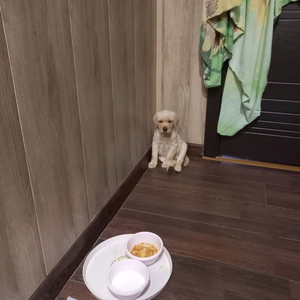 Обстановка