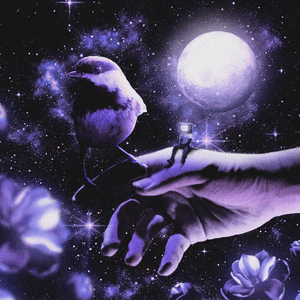 THE KING (4KORNERS REMIX feat. MADALEN DUKE, TEMIA)