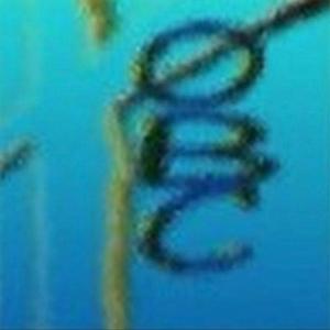 The Power Of True Love (feat. Zero BC)