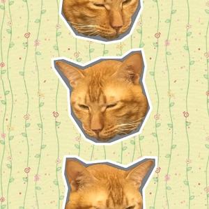 开往春天的地铁