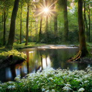 Comienzan Las Reflexiones Serenas