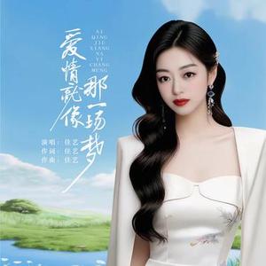 爱情就像那一场梦 (广场舞)