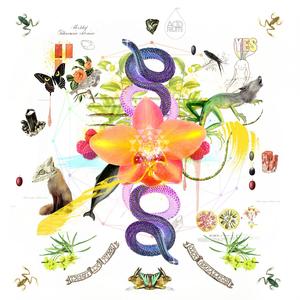 Pieces & Rules (Vintage Culture Remix)