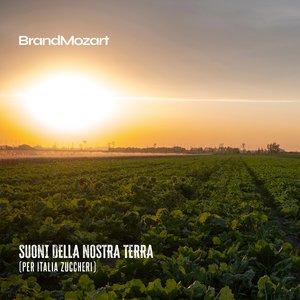 Trattore (Per Italia Zuccheri)